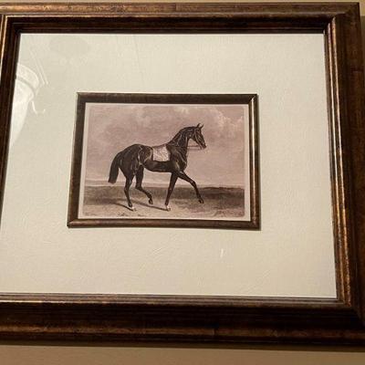 framed horse picture