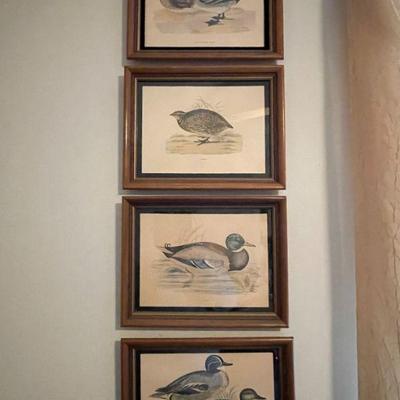 set of 4 wildlife pictures