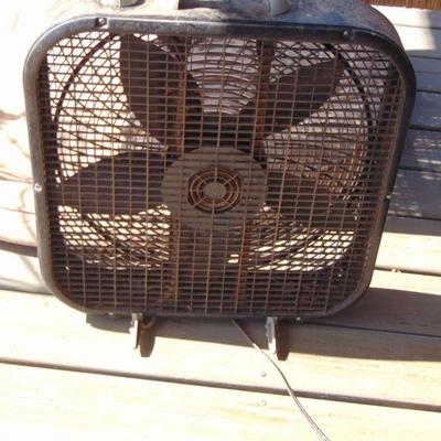 stable fan