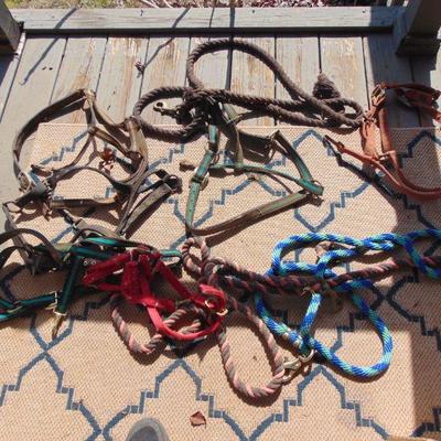 horse harnesses 