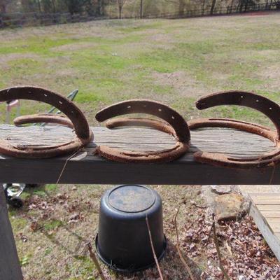 horseshoe hanging rack