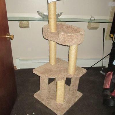 Cat Tree (no cats in House) 