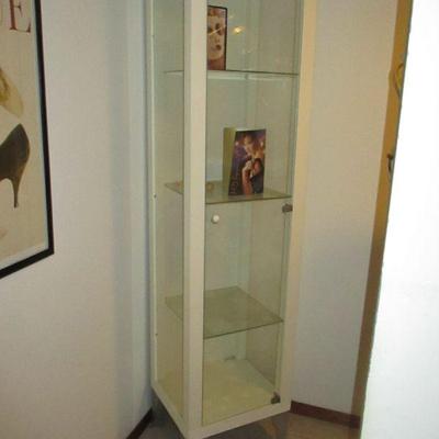 Storage Glass Door Cabinet 