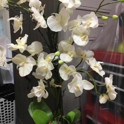 Faux orchid in container 
