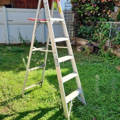 MHT036 - Aluminum Ladder 