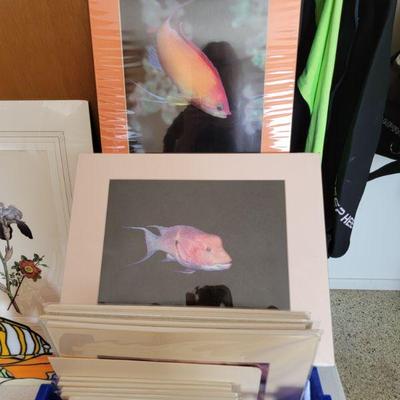 Matted Photography