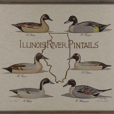 Paul Shertz Signed AP Illinois River Pintails Art