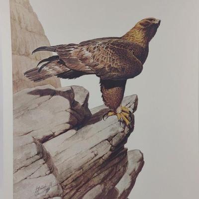 Guy Coheleach Signed Golden Eagle Lithograph
