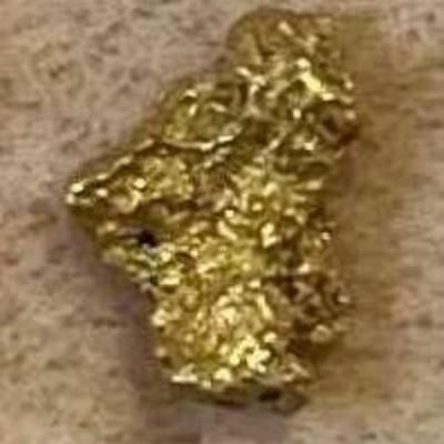 HTS265 22k Gold Nugget