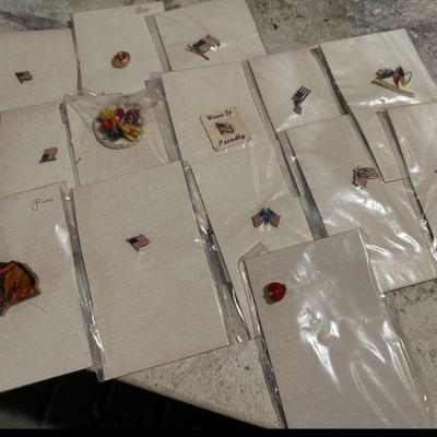 Pins - American Flag 76 American Flag, Turtle with Blue Shell