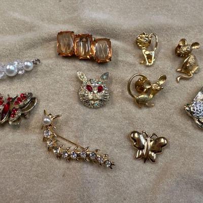 Assorted Brooches and pins