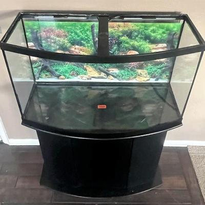 45 Gallon Lighted Aquarium With Stand (Pumps, Hoses & Accessories)