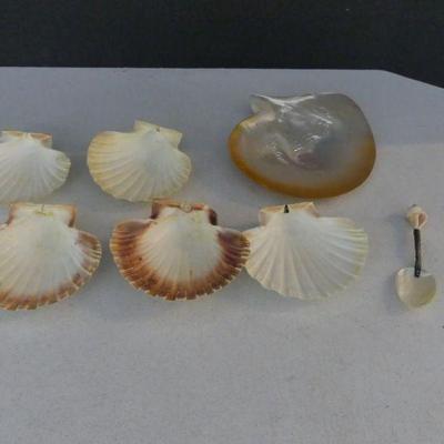 Polished Clam Shell Hors d'oeuvre Plate and 5 Clam Shell Bowls with Mother of Pearl Spoon