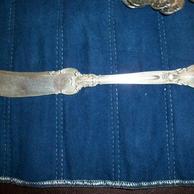 Close up of Butter knife