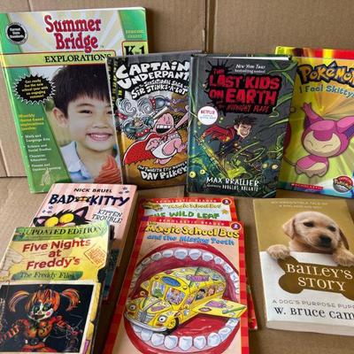 Assorted Childrens Books 
