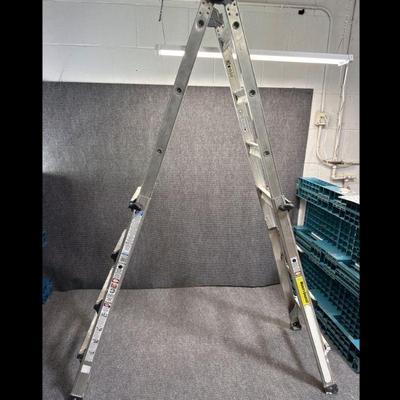 Cosco Extension Ladder 