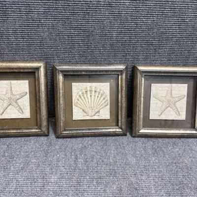 Kirkland Starfish and Seashell Wall Art 