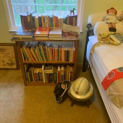 Many kids books and novels, and Christian books. 4 book cases full