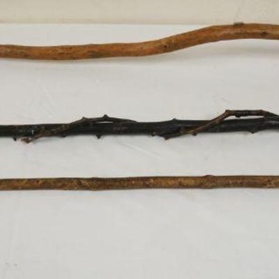 1170	GROUP OF 3 ANITQUE RUSTIC CANES & WALKING SITCK
