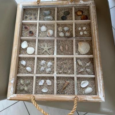 Shell tray
