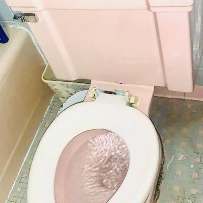 Pink Standard Toilet