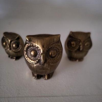Brass owls