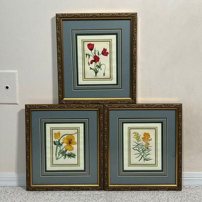 (3pc) Botanical Prints |    A set of three floral botanical prints matted in matching frames
Dimensions: w. 10 x h. 12 in (each frame) 