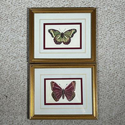 (2pc) Pair Butterfly Prints |  
 In gold-tone frames
Dimensions: w. 11 x h. 9.5 in 