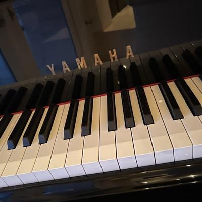 This item is available for PRESALE.  Please text photo to 760-668-0554 to purchase.  We accept Zelle ONLY for presales