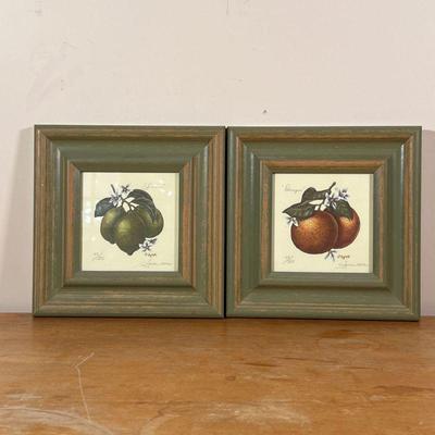 PAIR DYNDI FRUIT PRINTS | Oranges and limes, numbered and pencil signed, nicely framed
Dimensions: 10 x 10 in. (each frame) 