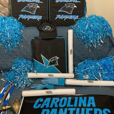 Lot for Panther fan