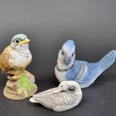 birds