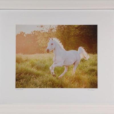 Anna Smolens Signed 'White Horse' Framed Print