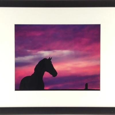 Anna Smolens Framed Photograph Print of Horse