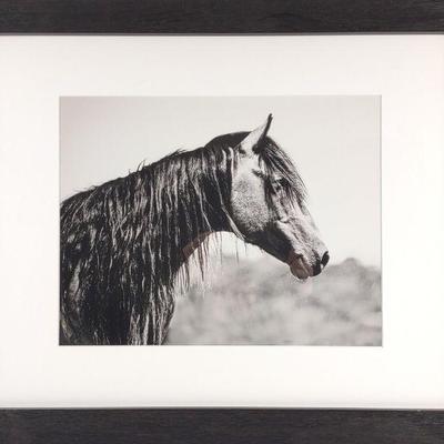 Anna Smolens B&W Horse Print in Frame