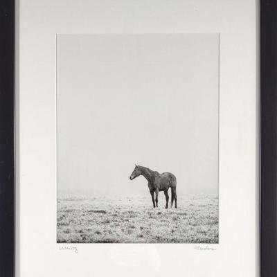 Anna Smolens 'In The Fog' Horse Photo Print