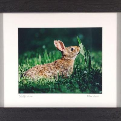 Anna Smolens Signed 'Wild Hare' Framed Print