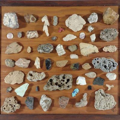 Mineral & Fossil Wall Display
