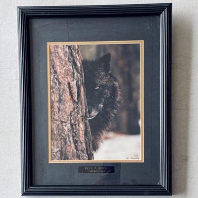 Estes Park Photographer Tom Mussehl ~ "Peek A Wolf"