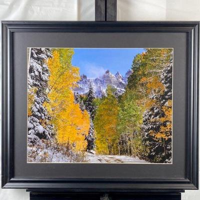  Beautiful Photograph of Colorado Mountains and Aspens Signed 