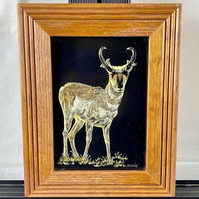Original Art by Colorado Artist Vivian Etmanczyk Using Scratchboard & Watercolor "Pronghorn Stare" 8" x 10"