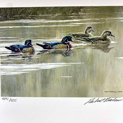 Duck Stamp Design ~Arkansas Migratory Waterfowl Hunting Stamp Design by Robert Bateman Signed LE