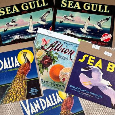 (5PC) VINTAGE PRODUCE POSTERS; BIRDS | Includes: Sea Gull Brand, Van Dalia Brand, & Sea Bird Brand - w. 13 x h. 11 in 