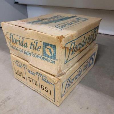 #1558 â€¢ Two Boxes of Florida Tiles