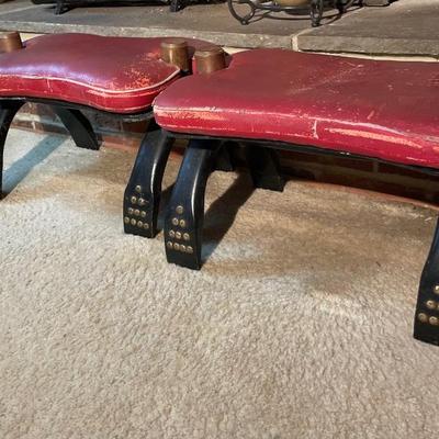 Camel Saddle