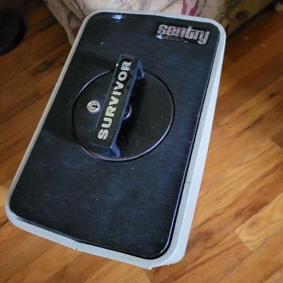 13x8x16 sentry survivor safe with key