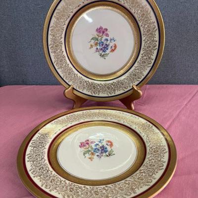 two vintage Edgerton dinner plates