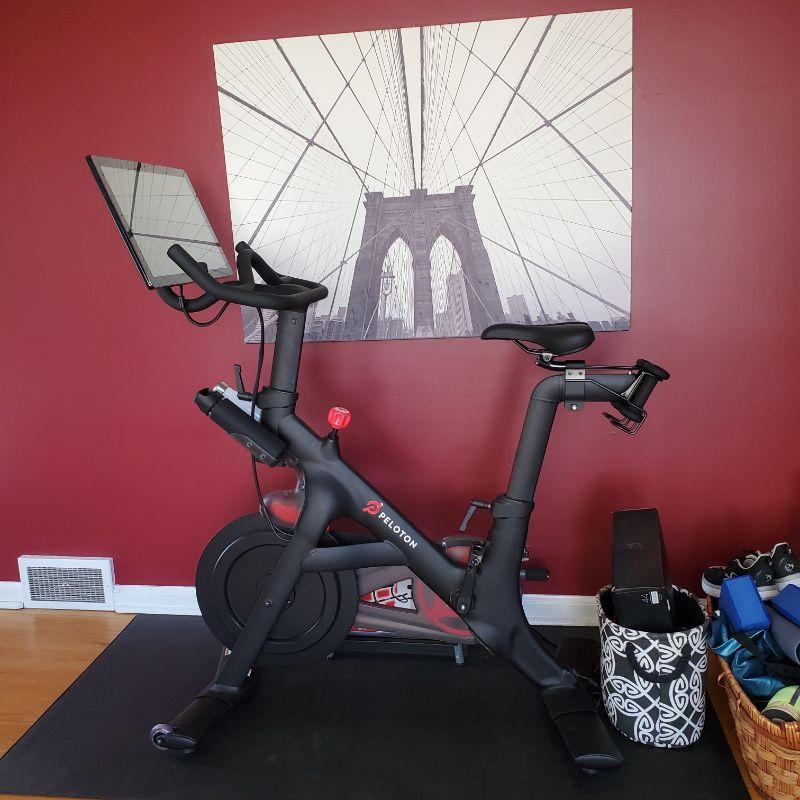 Pink Dog offers 50 off furniture in Wayne