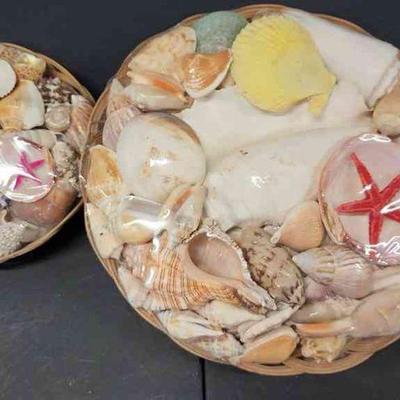 LKF070 - Sea Shell Assortment (2)