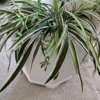 Haeger Planter w/ Faux Plant